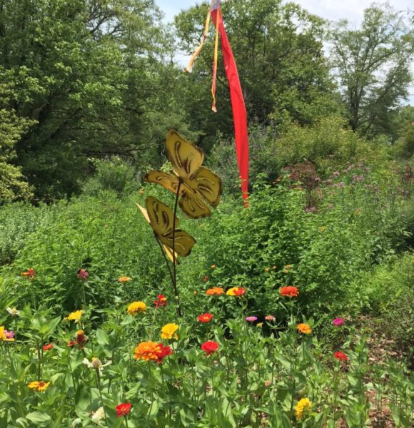 Beautiful Horticulture in Roswell, GA at The Chattahoochee