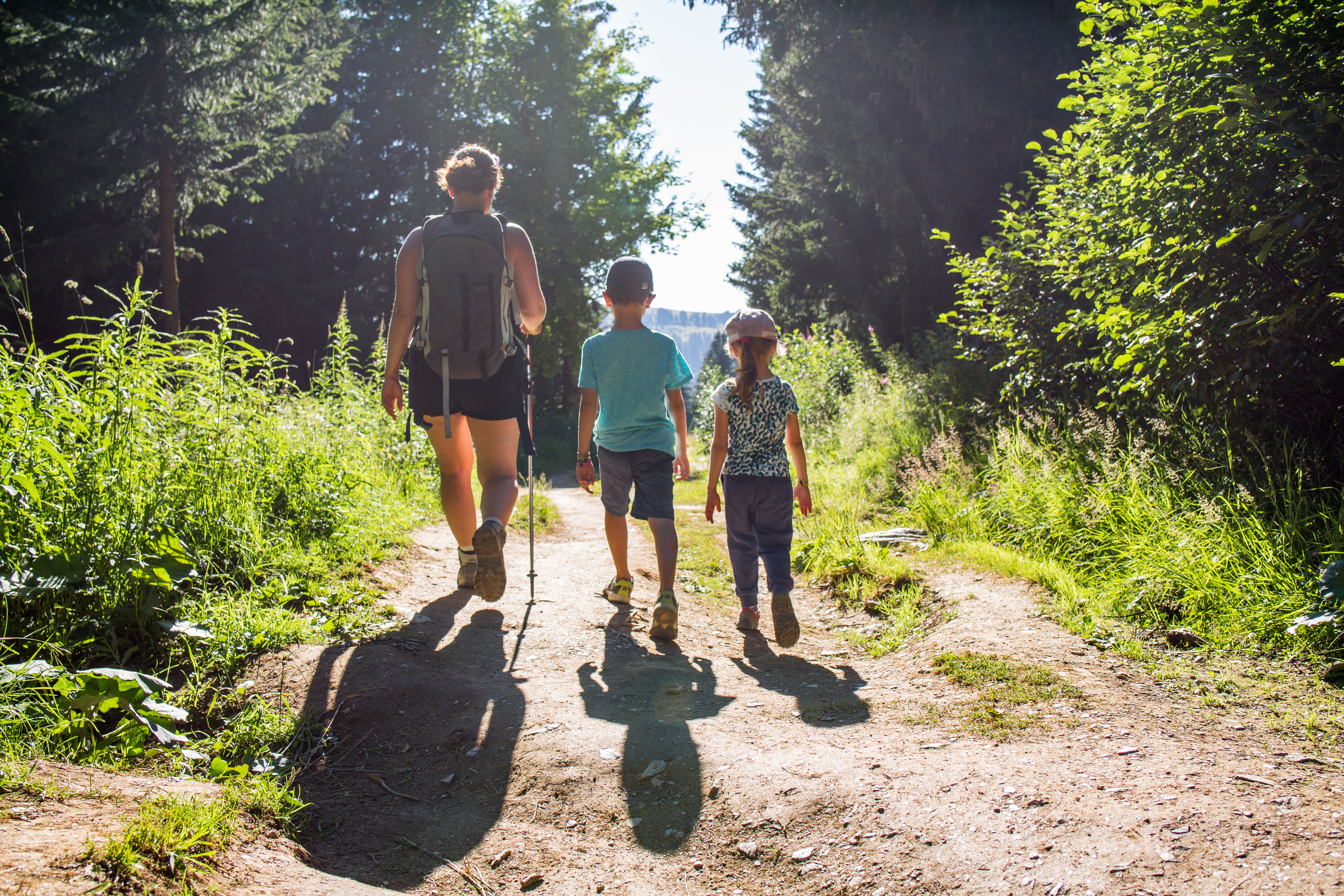 Five wooded hiking trails cover beautiful Georgia Piedmont forest and can easily make visitors feel that they are far away from the city. All trails feature an abundance of plant and wildlife, year-round birding, and are perfect for beginners and experienced hikers.