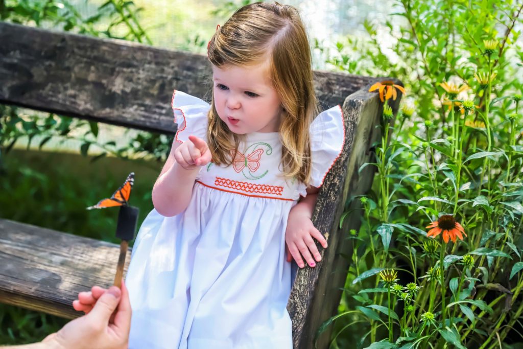Butterfly Encounter Butterfly Encounter
