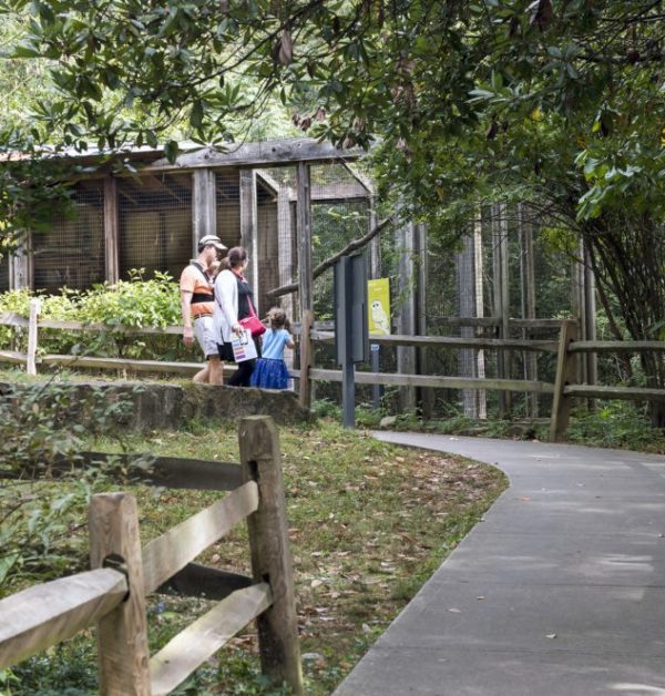 Clifford Martin_Aviaries_Family3_F535013
