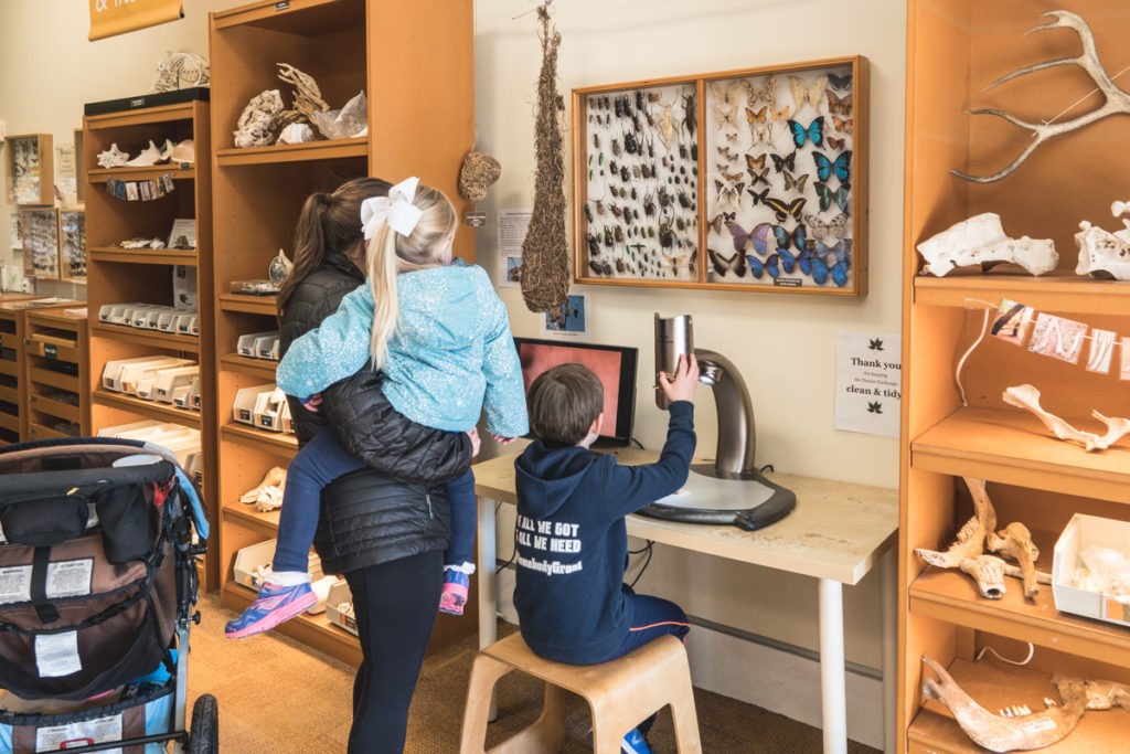 Original Experience Page 1/30/20