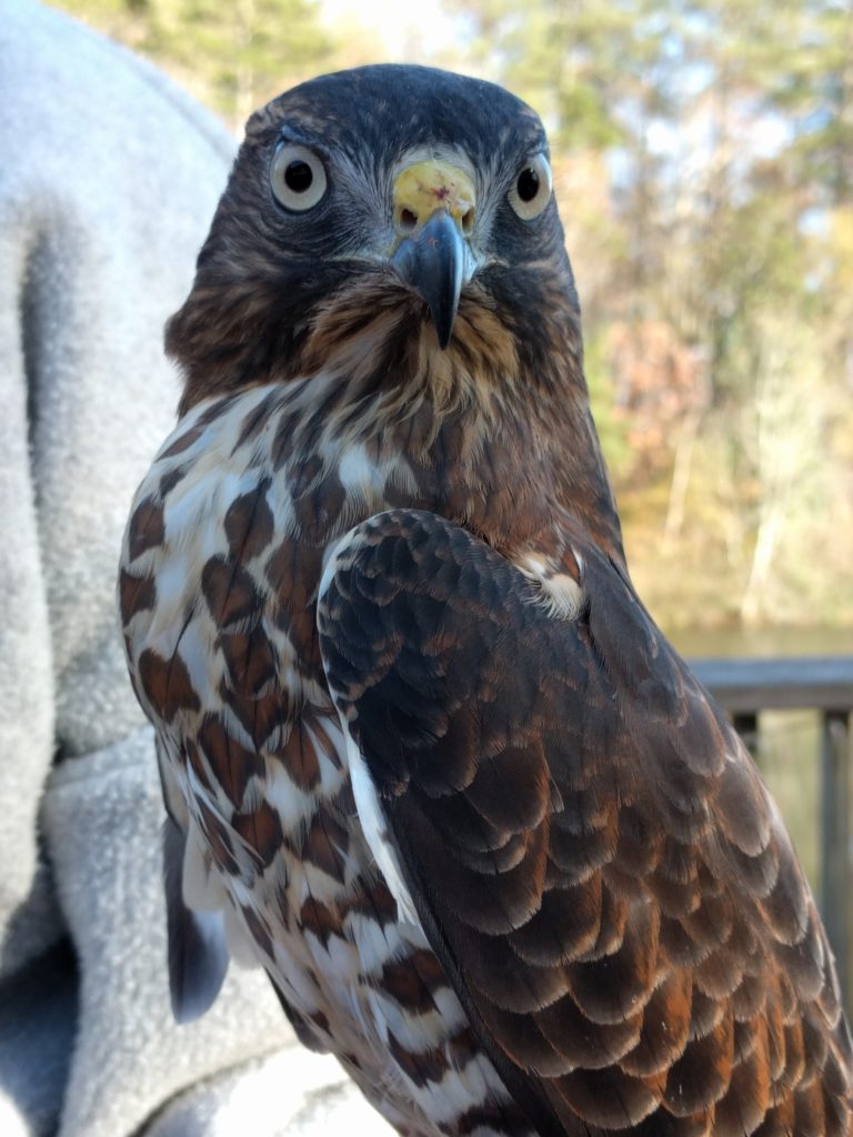 Original Experience Page 1/30/20