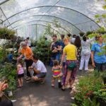 People looking for butterflies in enclosure