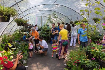 People looking for butterflies in enclosure