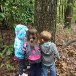 three children looking at a tree