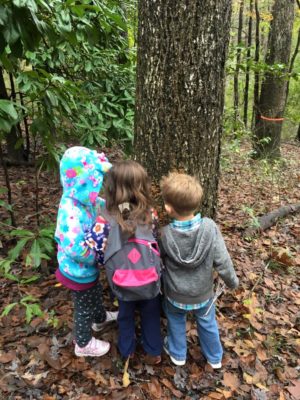 three children looking at a tree