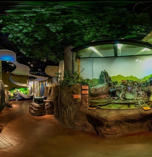 DiscoveryCenterWatershedGallery