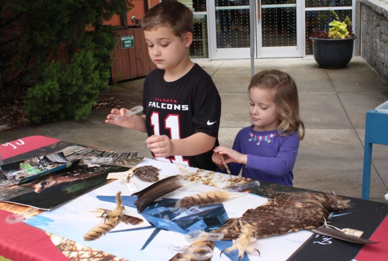 Boy and girl exploring biofacts boy and girl exploring biofacts