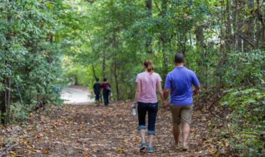 Riverside Boardwalks Walk through woodland trails and riverside boardwalks