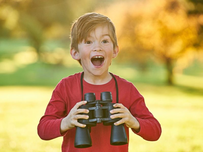 Young boy playing in Autumn leaves