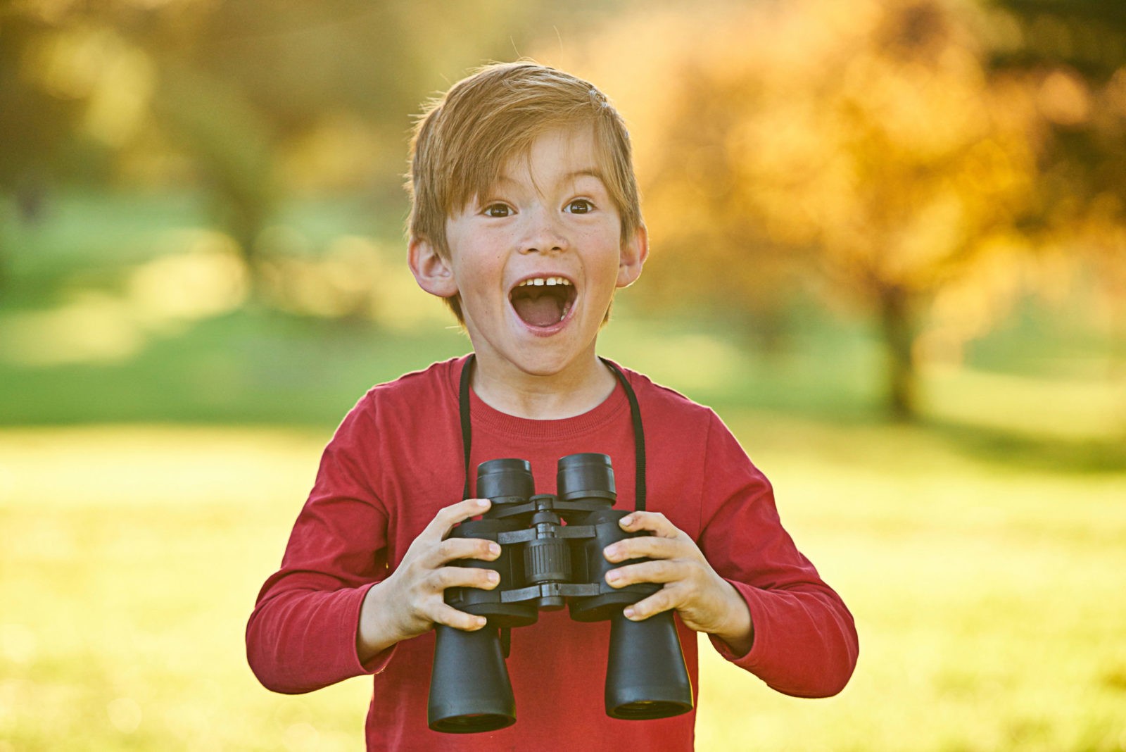 Young boy playing in Autumn leaves