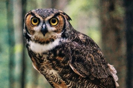 brian-kraus-1190032-unsplash_Cropped brian-kraus-1190032-unsplash_Cropped