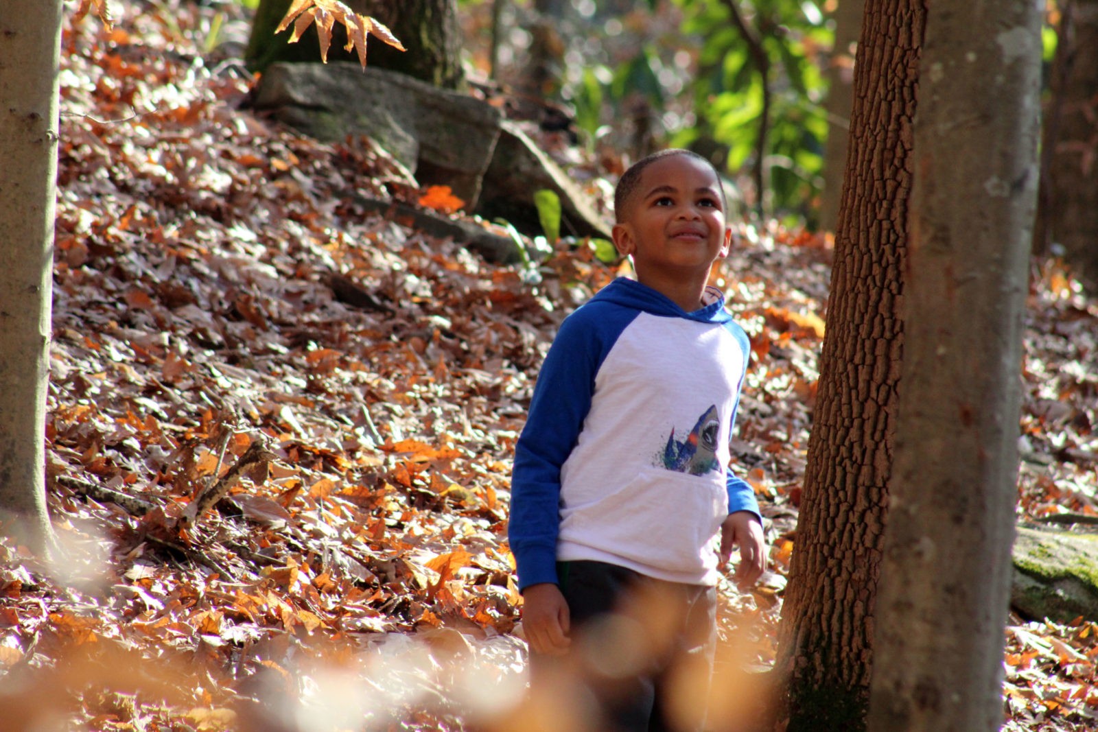 Self-Guided Scavenger Hunt Kids can spot signs of spring in nature