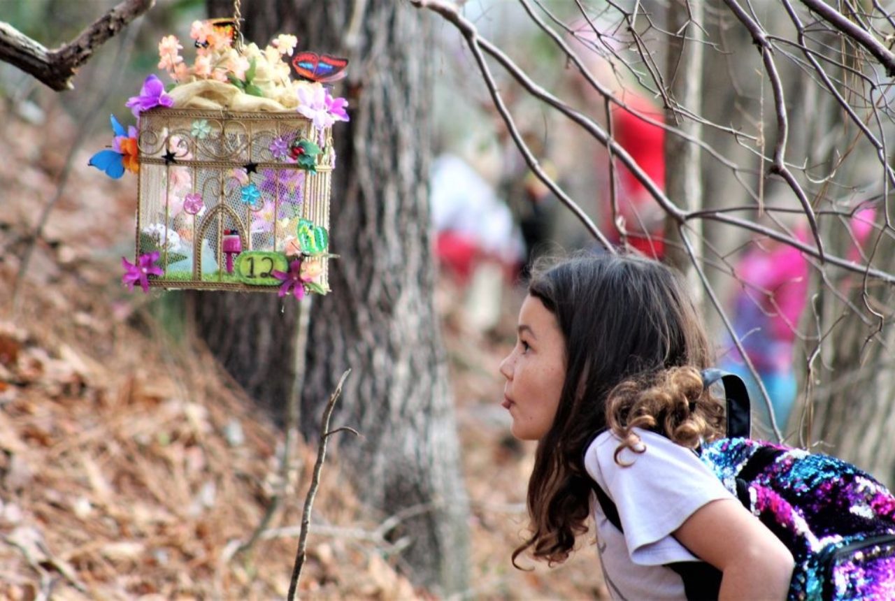 Family Fun Days in Roswell, GA At The Chattahoochee Nature Center