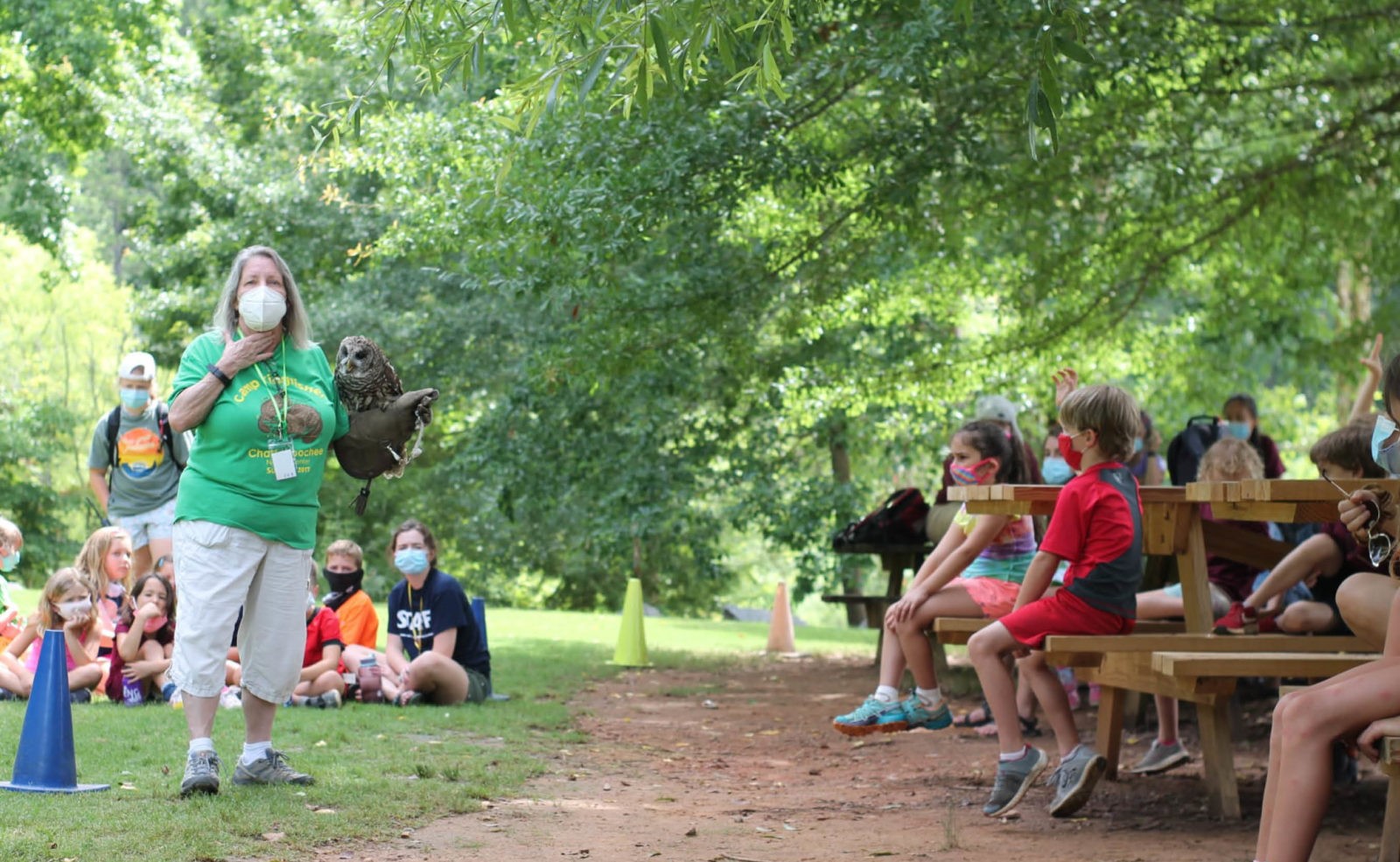 650 x 400 Camp Kingfisher Bird Demo