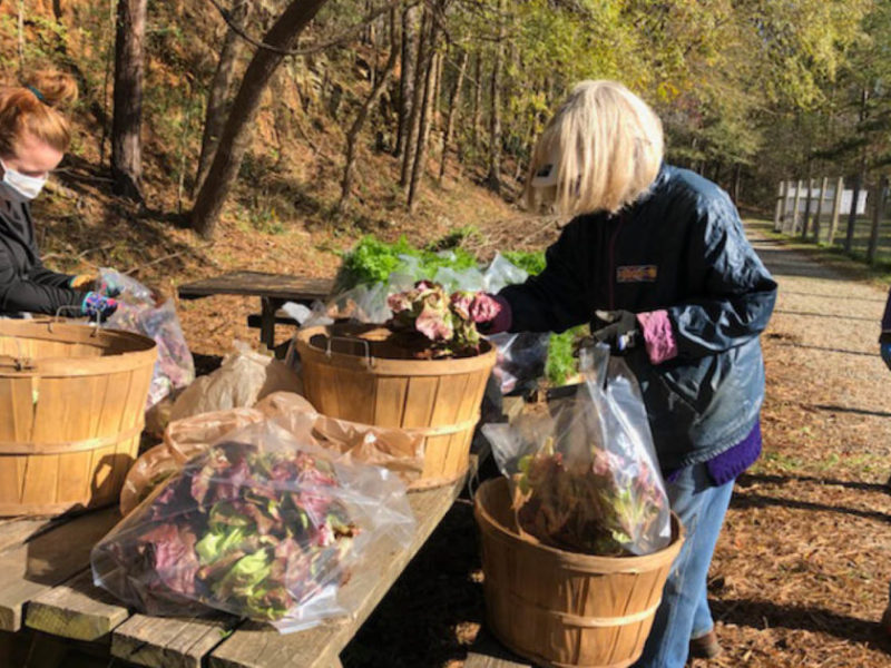 650 x 400 Unity Garden Volunteers 2