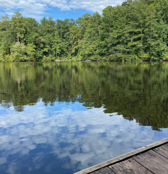 Beaver Pond Trail