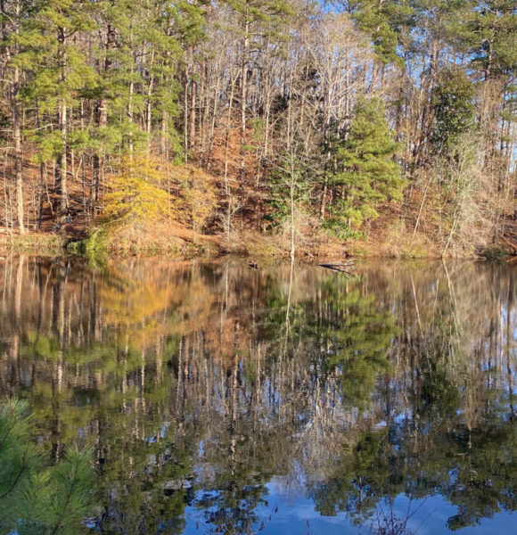 Kingfisher Pond Trail