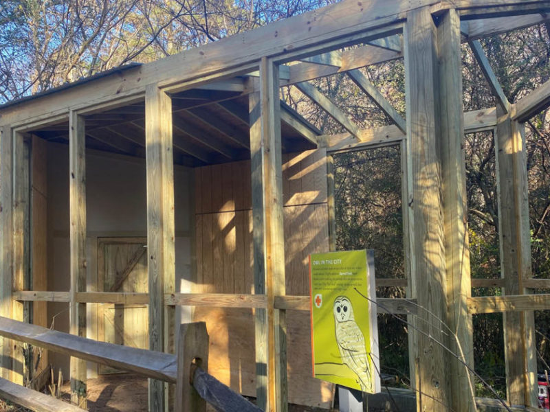 650 x 400 Aviary Construction