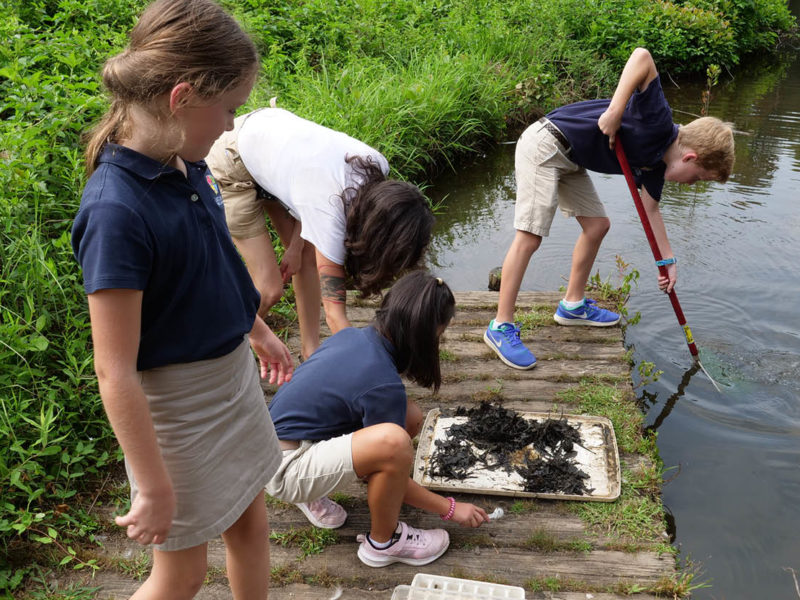 600 x 400 Education Pond Study