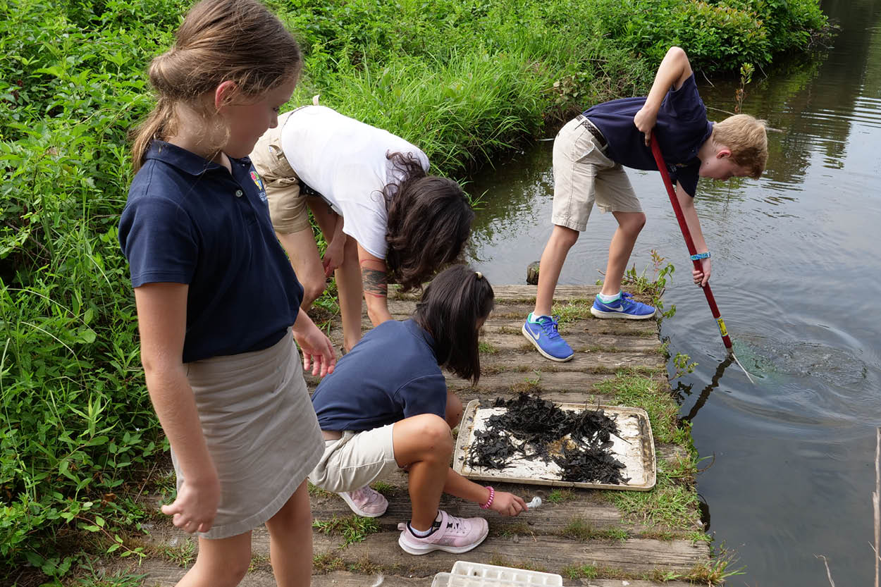 600 x 400 Education Pond Study