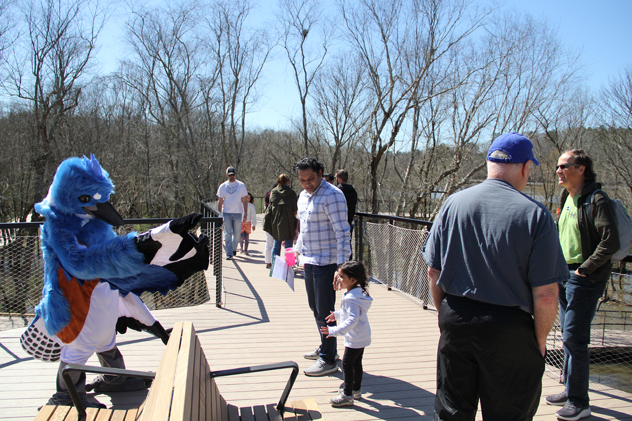 boardwalk