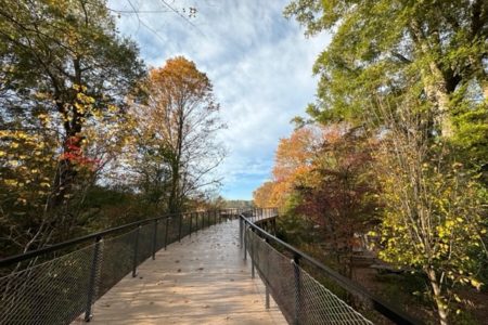 Fall_Boardwalk