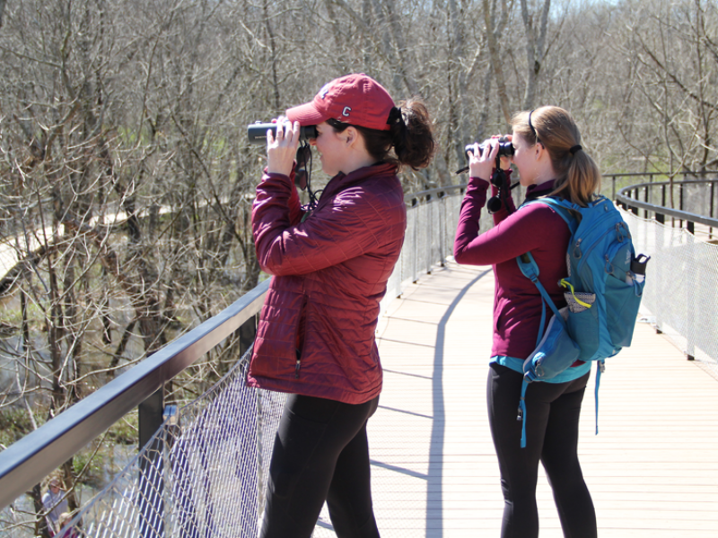 600 x 400 Bird Watching on Boardwalk