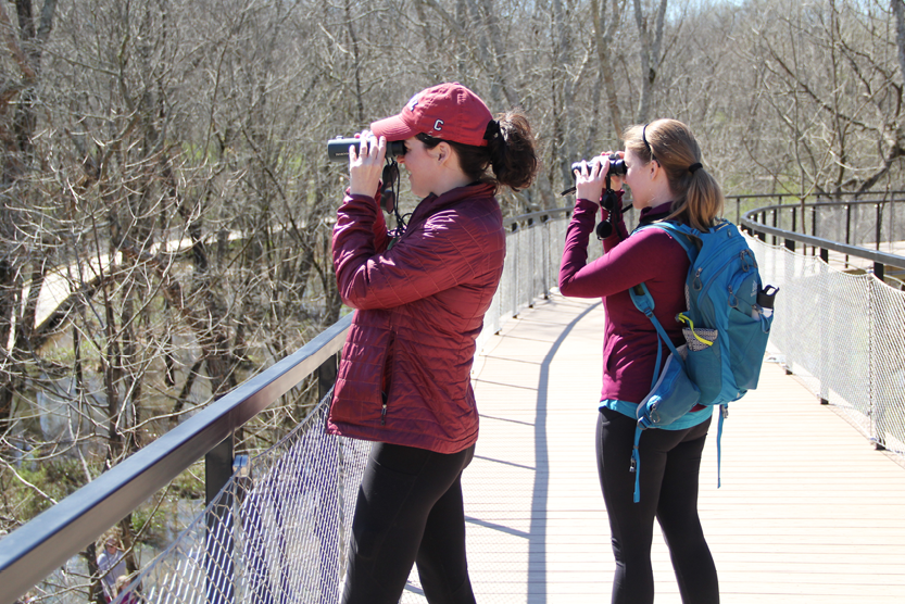 600 x 400 Bird Watching on Boardwalk