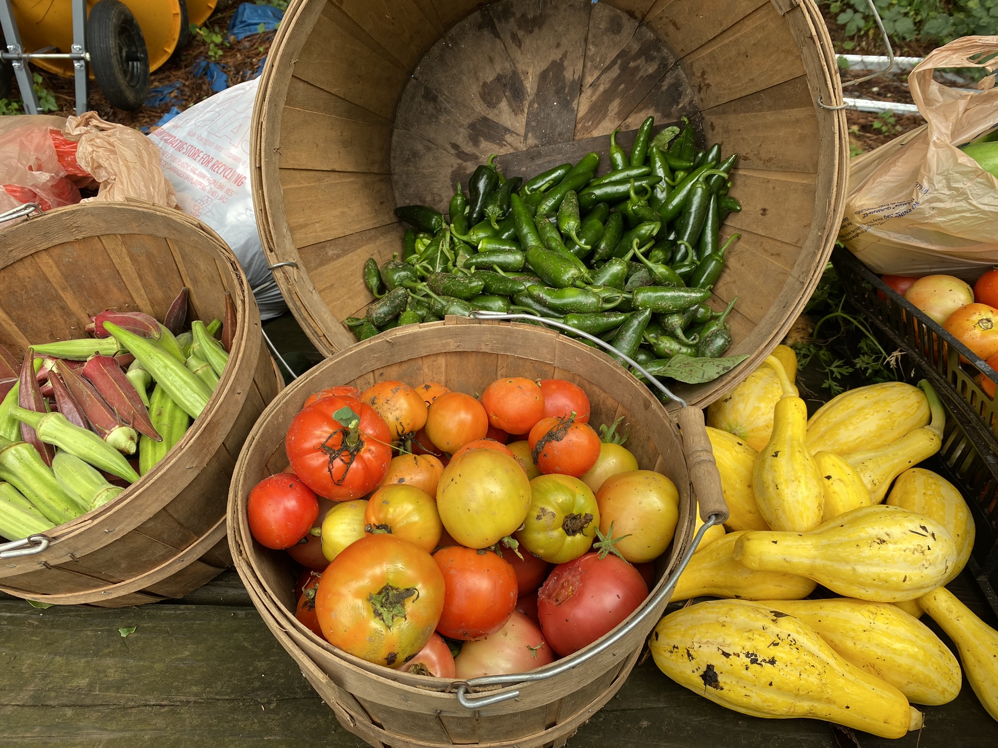 “Clients at the North Fulton Community Charities (NFCC) Food Pantry make it a priority to visit on the days that CNC delivers their fresh produce!”
– NFCC Director of Food Pantry Services