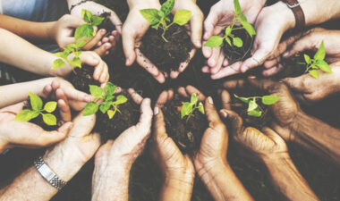 Horticulture CNC is proud to be involved with the protection, restoration and safeguarding of the many rare and endangered plant species of Georgia. Whether your interest is in gardening, horticulture, education, or science, CNC will keep you engaged with nature.