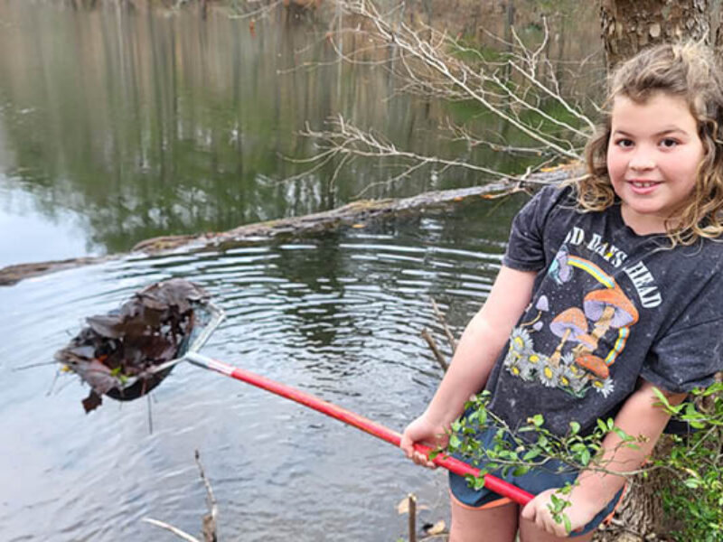 600 x 400 Member Pond Study 2025