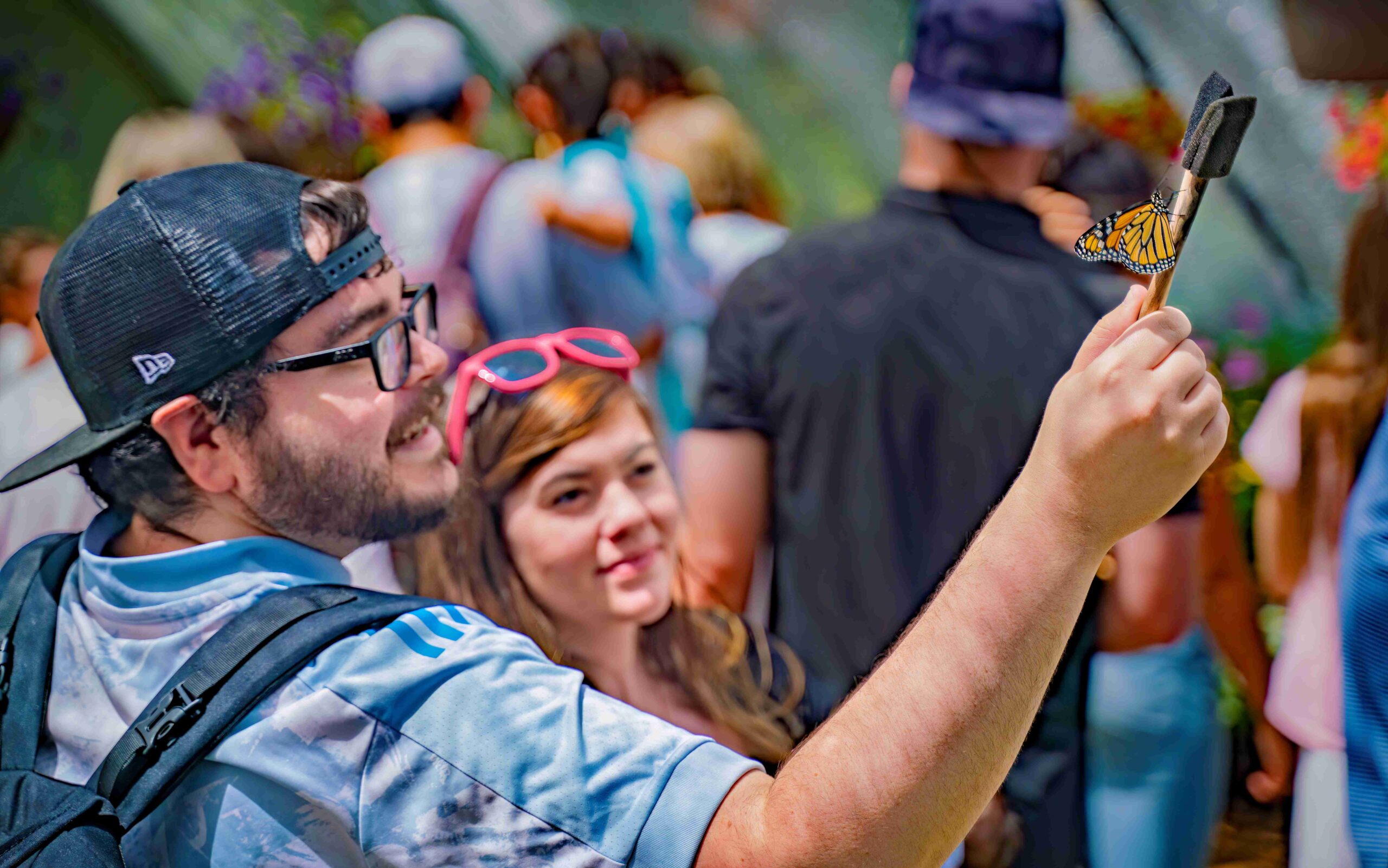 Butterfly Encounter_Paul 2 Butterfly Encounter_Paul 2