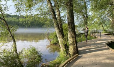 River Boardwalk Explore shaded trails and boardwalks surrounded by native plants and wildlife