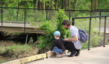 River Boardwalk Walk through woodland trails and riverside boardwalk
